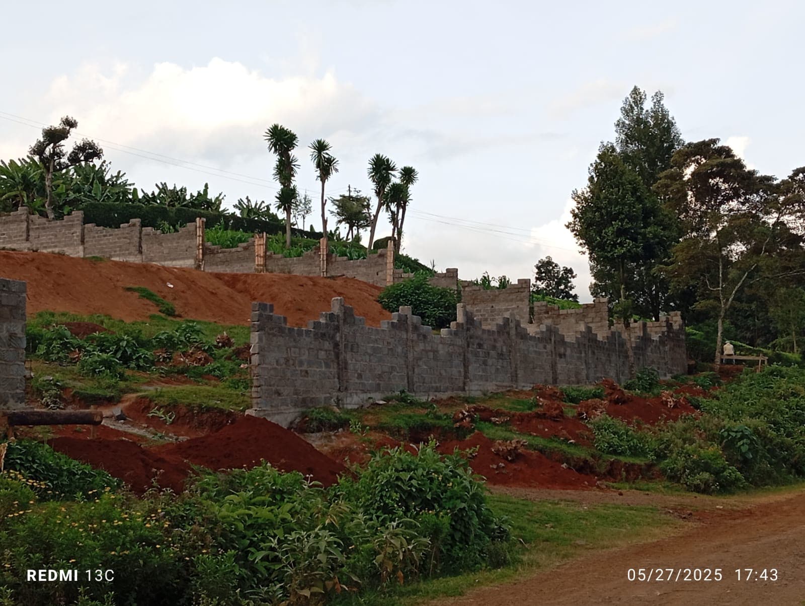 Wide panoramic view of perimeter wall construction progress with red soil terracing and banana trees