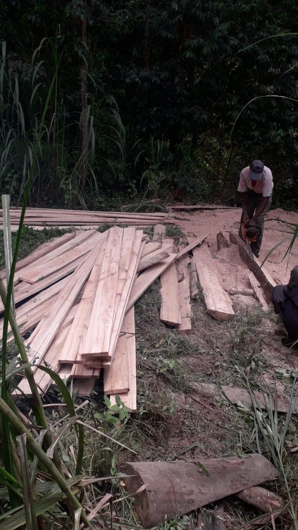 Timber processing and preparation on site