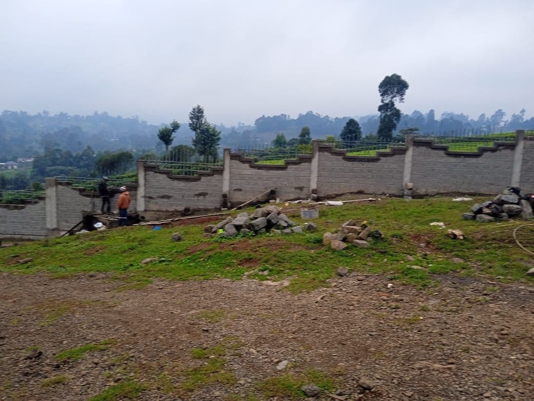 Wide panoramic view of long wall section with stepped decorative top and metal railings, workers visible, misty hills backdrop