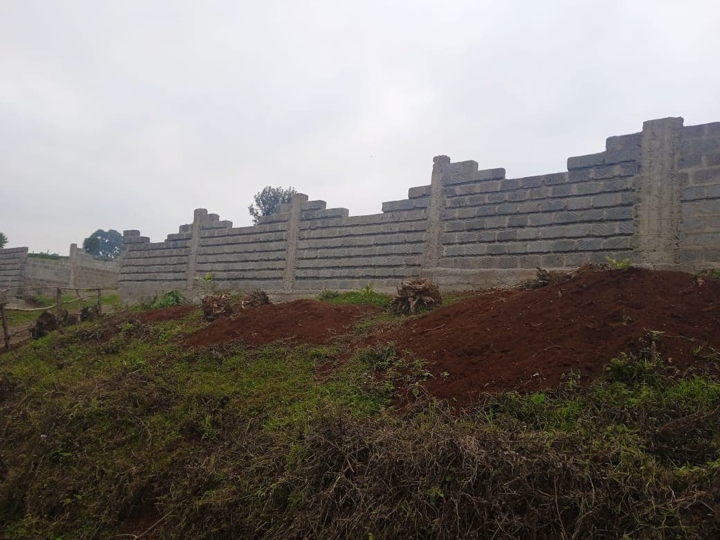 Long stretch of unpainted block wall with pillars, red soil mounds in foreground under overcast sky