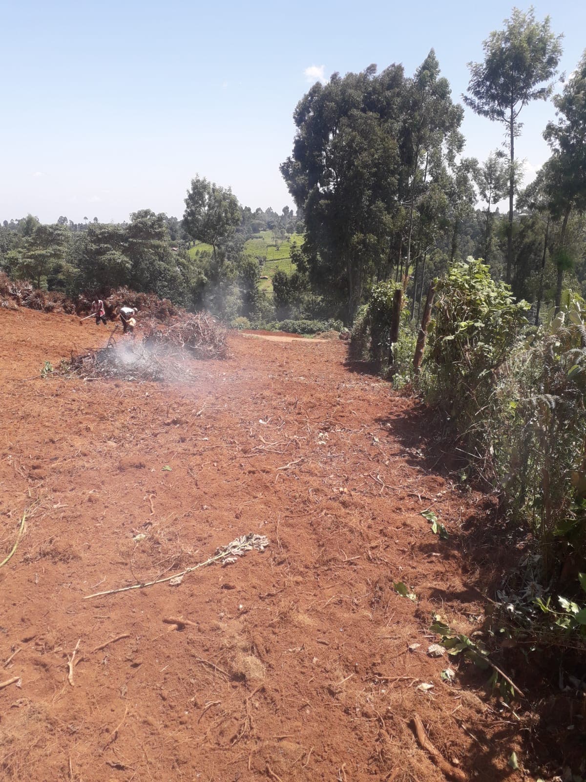 Land clearing and preparation in progress