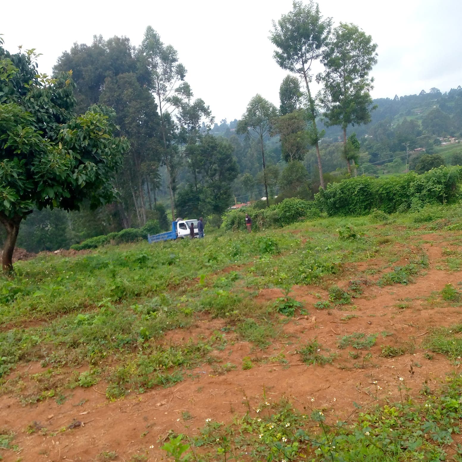 Scenic view of the project site surrounded by lush green hills