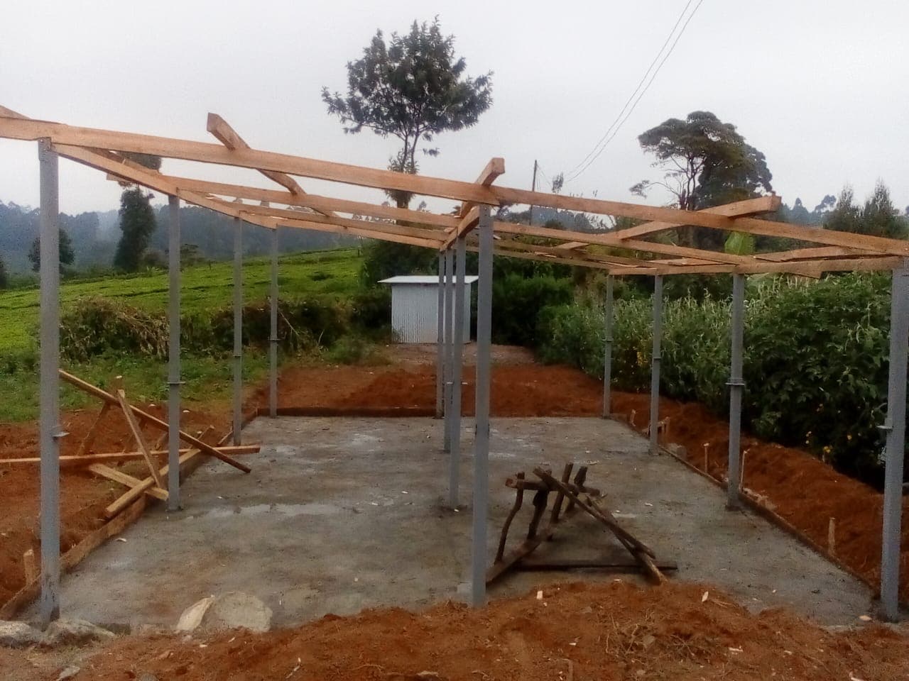Wooden roof trusses installed on concrete foundation