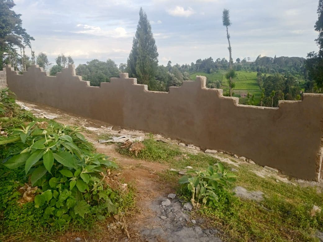 Completed decorative perimeter wall with crenellated battlement-style top edge overlooking lush valley