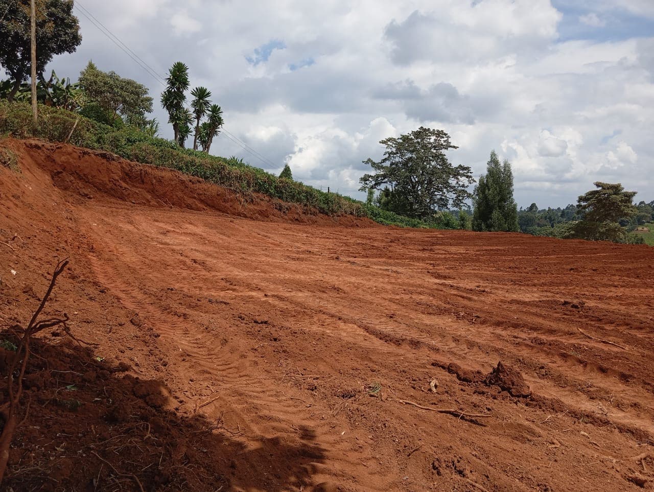 Cleared and graded land ready for development