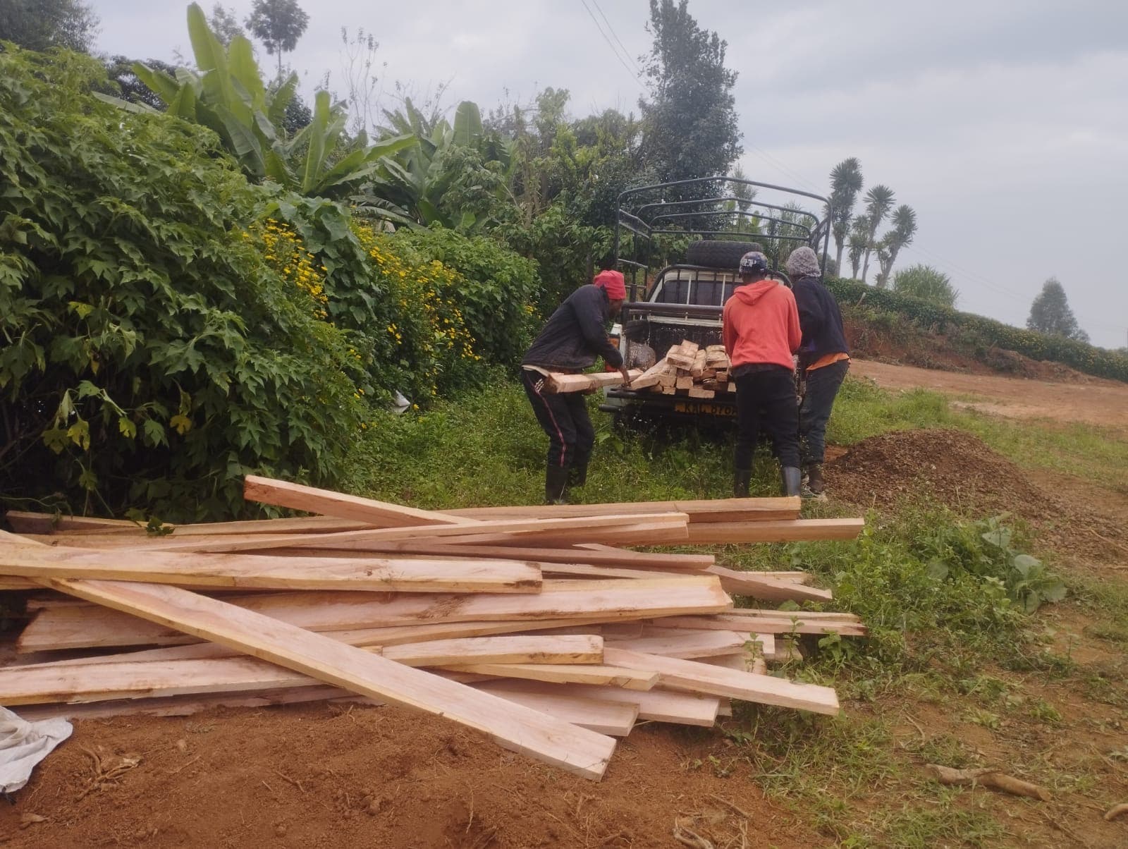 Workers unloading timber for construction