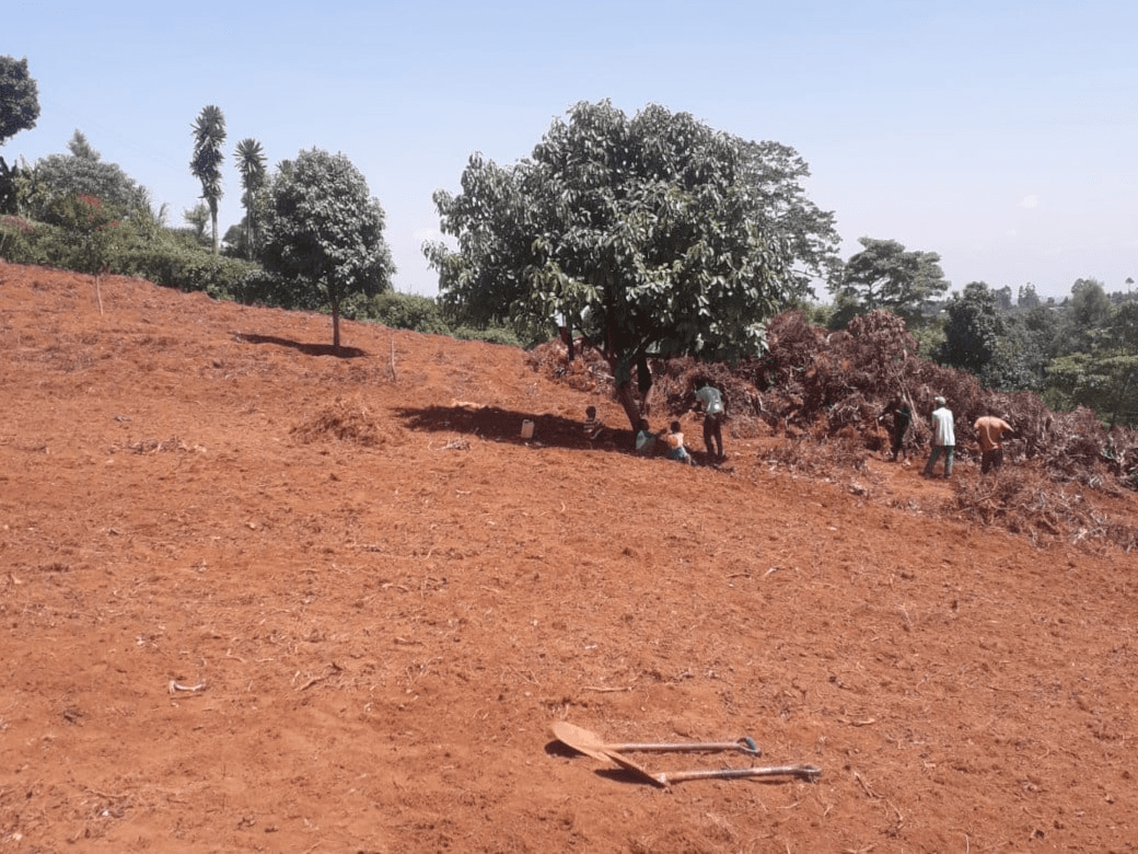 Site clearing and land preparation work